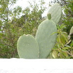 460>_1962499
